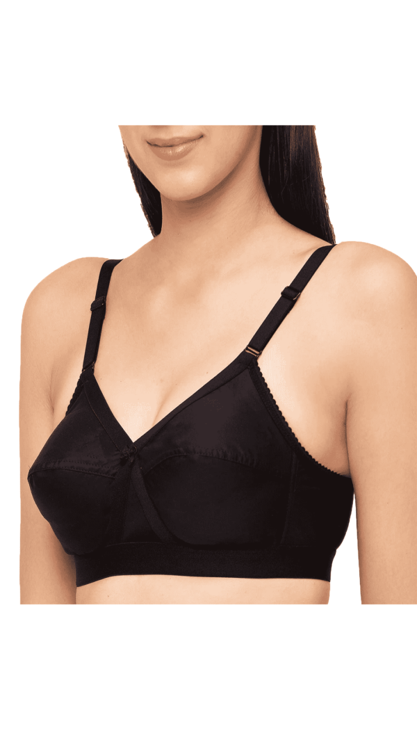 stylish bras