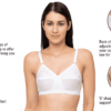 moga trends women bra